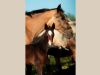 belle pouliche akhal teke cachée derrière sa mère